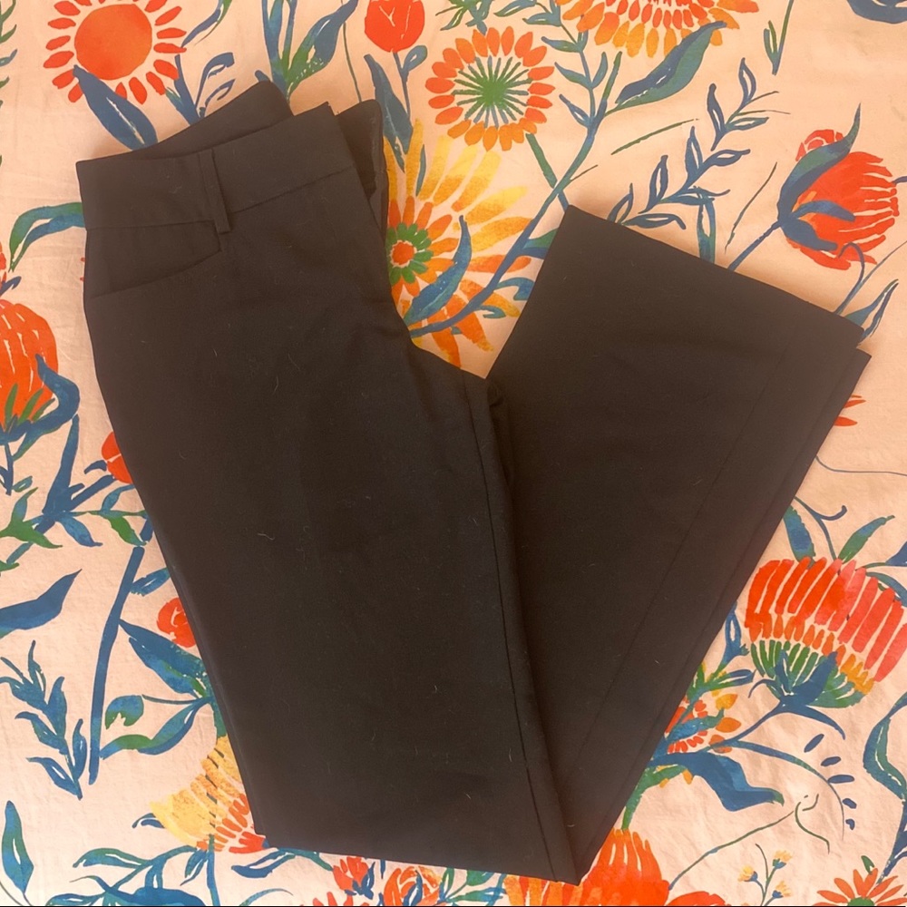 BCX Suit pant